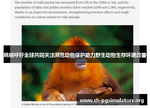 姚明呼吁全球共同关注濒危动物保护助力野生动物生存环境改善 姚明呼吁全球共同关注濒危动物保护助力野生动物生存环境改善