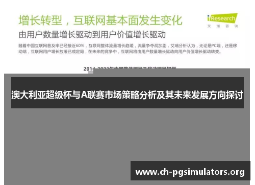 澳大利亚超级杯与A联赛市场策略分析及其未来发展方向探讨 澳大利亚超级杯与A联赛市场策略分析及其未来发展方向探讨
