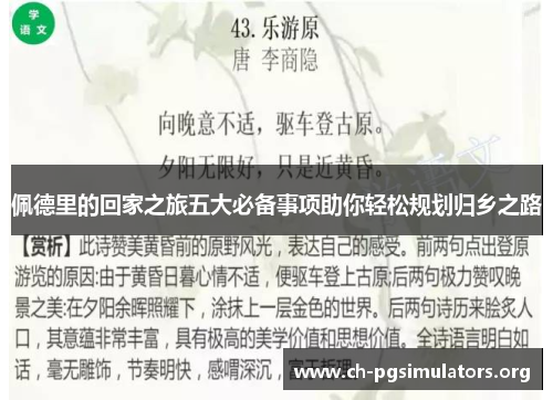 佩德里的回家之旅五大必备事项助你轻松规划归乡之路