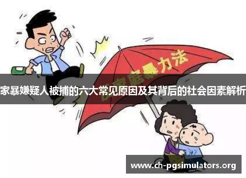 家暴嫌疑人被捕的六大常见原因及其背后的社会因素解析 家暴嫌疑人被捕的六大常见原因及其背后的社会因素解析