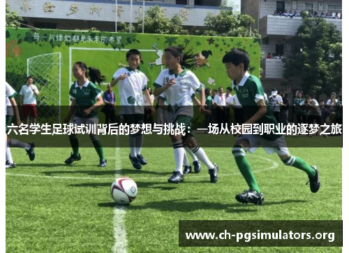 六名学生足球试训背后的梦想与挑战：一场从校园到职业的逐梦之旅