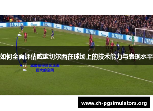 如何全面评估威廉切尔西在球场上的技术能力与表现水平