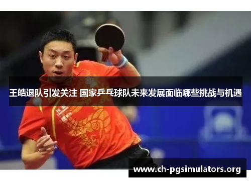 王皓退队引发关注 国家乒乓球队未来发展面临哪些挑战与机遇 王皓退队引发关注 国家乒乓球队未来发展面临哪些挑战与机遇