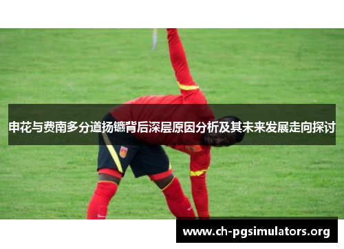 申花与费南多分道扬镳背后深层原因分析及其未来发展走向探讨