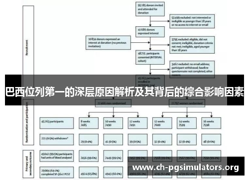 巴西位列第一的深层原因解析及其背后的综合影响因素