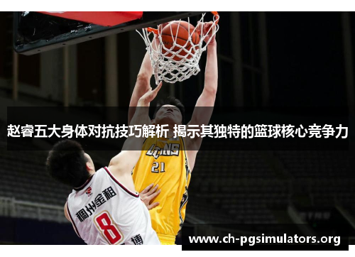 赵睿五大身体对抗技巧解析 揭示其独特的篮球核心竞争力