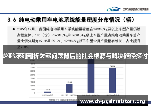 赵鹏深刻剖析欠薪问题背后的社会根源与解决路径探讨 赵鹏深刻剖析欠薪问题背后的社会根源与解决路径探讨